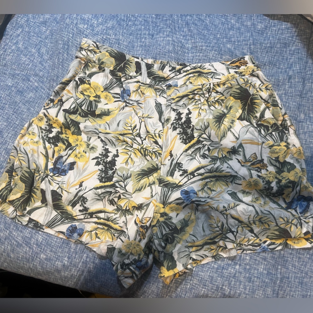 Abercrombie & Fitch Shorts Size M